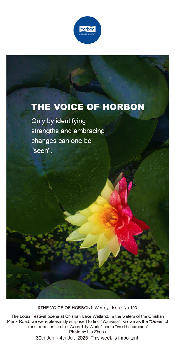 【和之声】找准优势、拥抱转变，，，，，，才华“被望见”。。(总第193期）--2025.6英文导出季度推送用.jpg